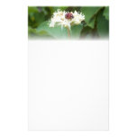 Mariquita Papelería De Diseño