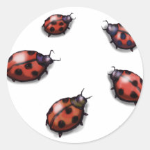 Mariquitas Pegatinas Redondas