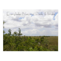 Marismas parque nacional, la Florida Postales