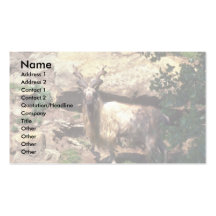 Markhor Tarjeta De Visita