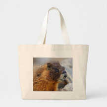Marmota Bolsa