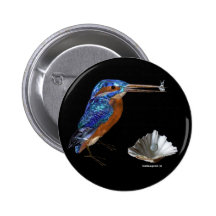 MARTÍN PESCADOR, azul eléctrico, negro Pin