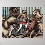 Más doméstico de león en jaula con el poster del c