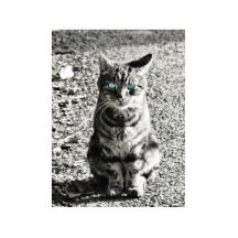Mascota animal del gato escultura fotografica