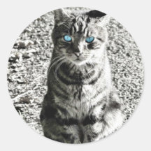 Mascota animal del gato etiquetas redondas