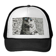 Mascota animal del gato gorro de camionero