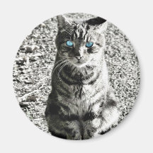 Mascota animal del gato iman de frigorífico