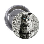 Mascota animal del gato pin