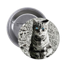 Mascota animal del gato pin