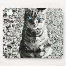 Mascota animal del gato tapetes de raton