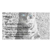 Mascota animal del gato tarjetas de negocios