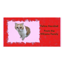 Mascota de encargo Navidad felino PhotoCard del na Tarjeta Con Foto Personalizada