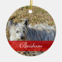 Mascota PhotoOrnament con nombre Ornamentos De Navidad
