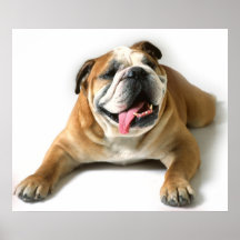 Mastín del perro poster