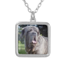 Mastín napolitano joyería
