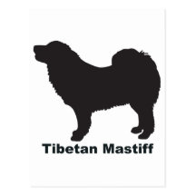 Mastín tibetano tarjetas postales