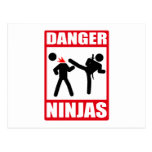 Matanza Bill de Okinawa de la academia de Ninja Postal