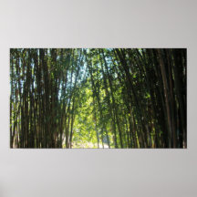 Matorral de bambú posters