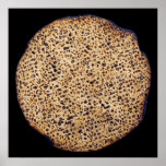 Matzah hecho a mano de Shmura Impresiones