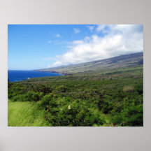 Maui Wowee Poster