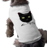 Maullido, aquí gatito del gatito ropa para mascota