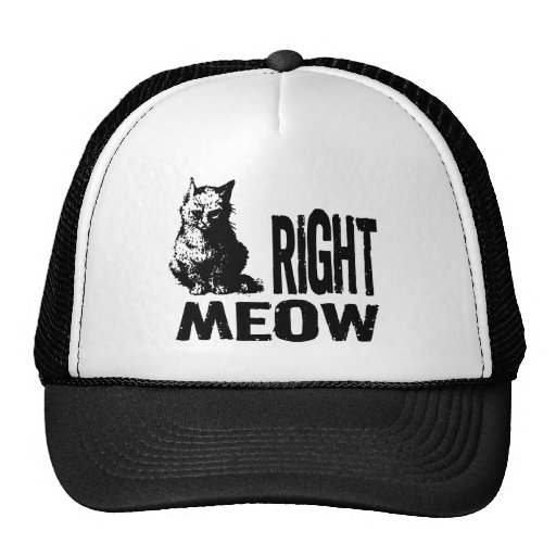 ¡MAULLIDO correcto! Gatito malvado divertido Gorro De Camionero