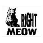 ¡MAULLIDO correcto! Gatito malvado divertido Postal