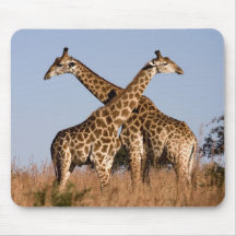 Mauspad Giraffen