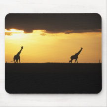 Mauspad Giraffen Sonnenuntergang Savanne