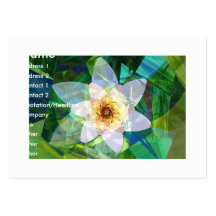 Mayflower Tarjetas De Negocios
