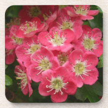 Mayo rojo posavasos