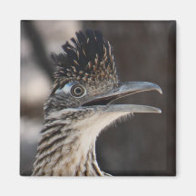 Mayor imán del Roadrunner