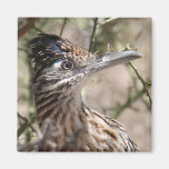 Mayor imán del Roadrunner