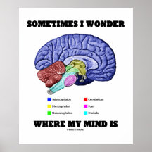 Me pregunto a veces donde está mi mente (el humor  posters