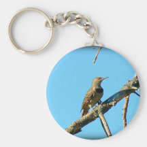 Meadowlark occidental llaveros