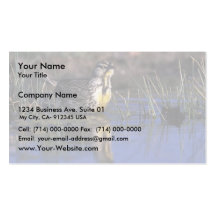 Meadowlark occidental tarjeta personal