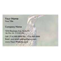Meadowlark occidental tarjetas de visita