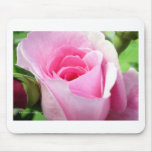 Medio capullo de rosa rosado abierto tapete de raton