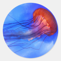 Medusas de la acuarela etiqueta redonda
