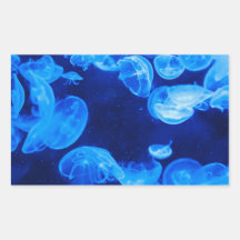 Medusas en el mar etiqueta