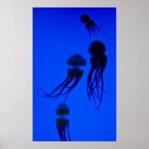 Medusas Poster