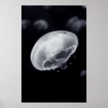 Medusas Posters