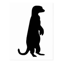 Meerkat Postales