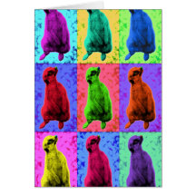 Meerkat que mira para arriba el Multi-Panel de Pop Tarjetón
