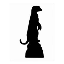 Meerkat Tarjetas Postales
