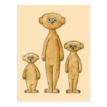 Meerkats. Tarjeta Postal