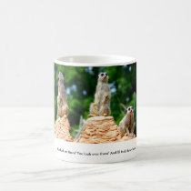 Meerkats ....... tazas