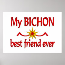 Mejor amigo de Bichon Poster