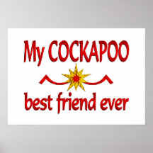 Mejor amigo de Cockapoo Poster