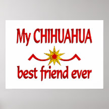 Mejor amigo de la chihuahua posters